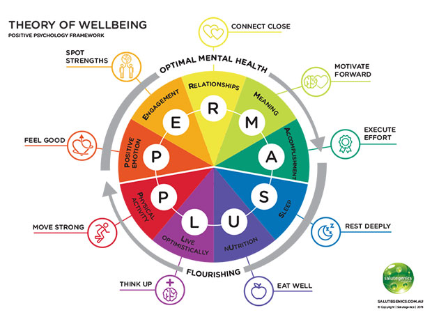 促進正向心理健康的九大元素-幸福理論PERMA PLUS