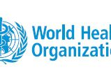 世界衛生組織兒童、青少年及成人之建議身體活動量